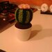 Piantine grasse e cactus amigurumi 