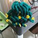 Piantine grasse e cactus amigurumi 