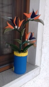 Vaso di strelizie con tre fiori