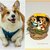 Presepe con cani corgi in fimo nella noce, idea regalo natale per amanti dei cani, miniatura presepe cane per regalo famiglia