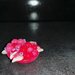 Ciondolo Floreale in Sfumature di Rosa