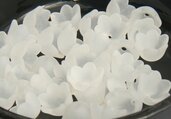 10 Perle terminali fiore bianco PRL143