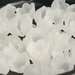 10 Perle terminali fiore bianco PRL143