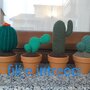 Pianta grassa uncinetto amigurumi con vasetto di coccio