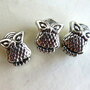 4 Perle a foro largo OWL  PFL161