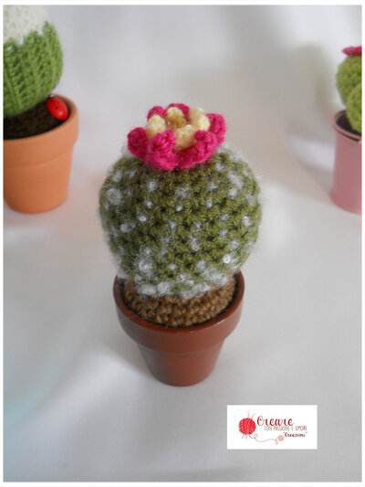 Cactus "à pois" ad uncinetto in lana Cactus "à pois" ad uncinetto in lana