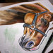 Acquerello cavallo dipinto a mano 