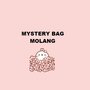 Borsa Misteriosa Tema Coniglio Molang + Regalo 