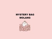Borsa Misteriosa Tema Coniglio Molang + Regalo 