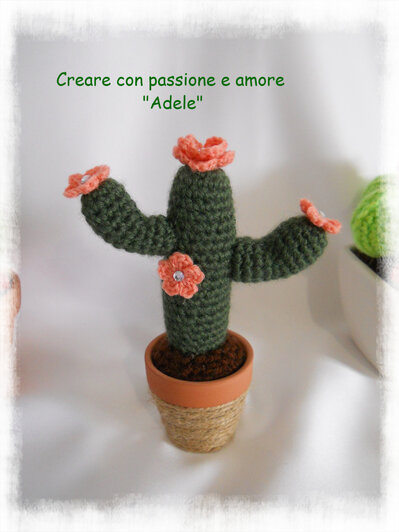 Cactus - pianta grassa ad uncinetto Cactus - pianta grassa ad uncinetto