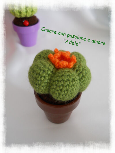 Cactus ad uncinetto - pianta grassa Cactus ad uncinetto - pianta grassa