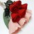 Mazzo di rose rosse e tulipani rosa in feltro idea regalo San Valentino per duffusore