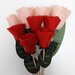 Mazzo di rose rosse e tulipani rosa in feltro idea regalo San Valentino per duffusore