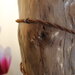 L'albero della Foresta - lampada in legno 