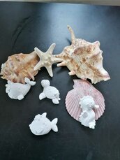 Tartaruga, balena, pesce , cavaluccio  gesso ceramico per fai da te 