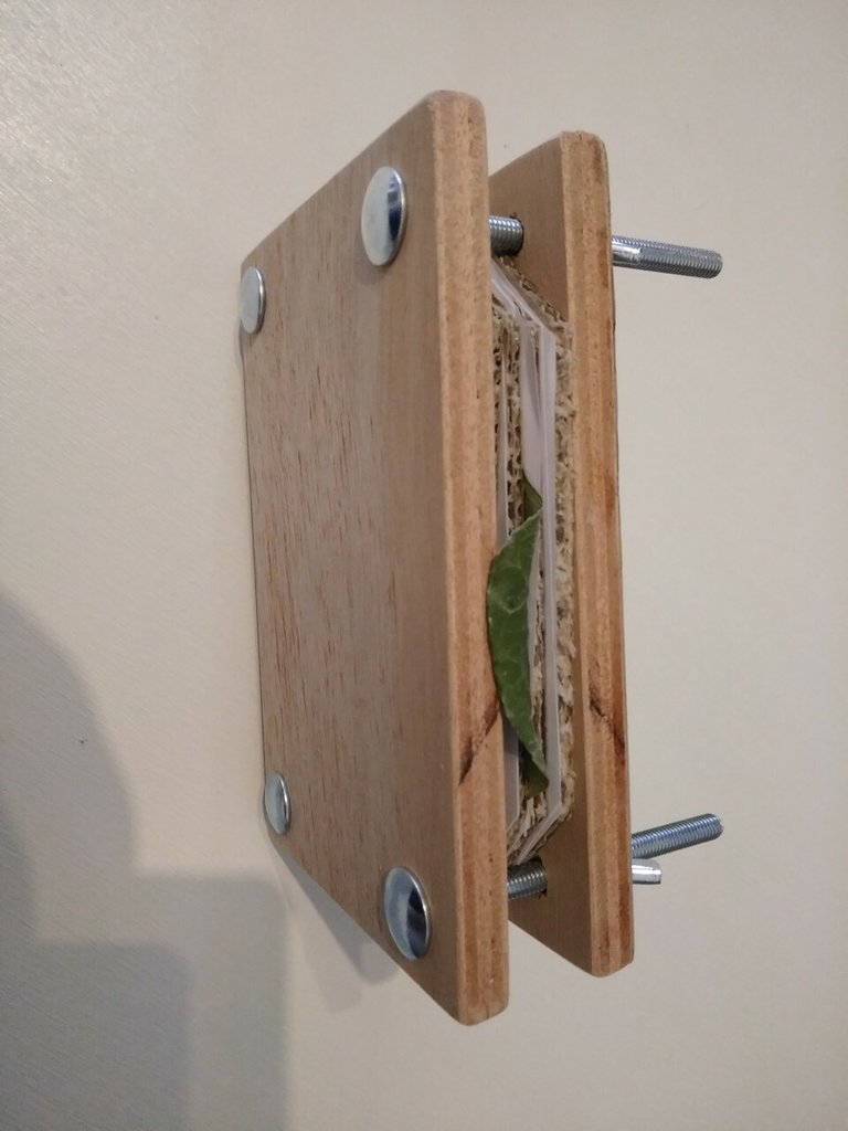 Mini Pressa Per Fiori BOXOB In Metallo – 10 Strati Kit Conservazione Piante – Strumento Da Viaggio Per Arti E Mestieri