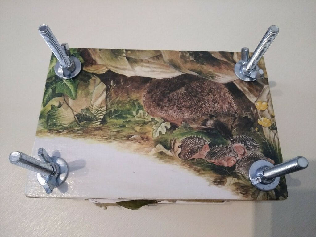 NOLITOY Kit Pressa Fiori e Foglie Grande Resistente per Erbario Te Accessori Pressatura Piante