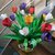Fiore tulipano colorato 