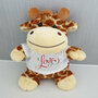 Peluche Love personalizzato