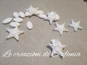 20 stelle marine in polvere di ceramica