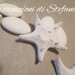20 stelle marine in polvere di ceramica