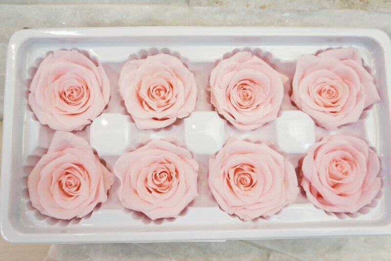 8 ROSE STABILIZZATE GRANDi ROSA CIRCA 5CM Feste Bomboniere di