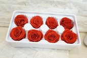 8 ROSE STABILIZZATE GRANDI ROSSE CIRCA 5CM