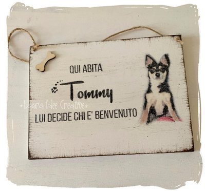 Targa In Metallo Con Cane E Scritta "Choose Something Fun" - Decorazione Vintage 20x30 Cm