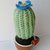 Cactus ad uncinetto lana