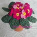 Primula fucsia all'uncinetto