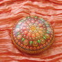 Pietra mandala per meditazione "I colori della terra"