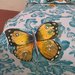 Striscia dipinta a mano con farfalle