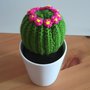 Cactus Tondo con Fiori - AMIGURUMI