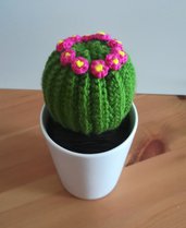 Cactus Tondo con Fiori - AMIGURUMI