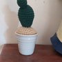 Cactus  uncinetto std