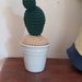 Cactus  uncinetto std