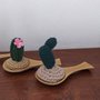 Tris mini cactus su cucchiaio
