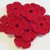Mini Fiori a uncinetto per applicazioni / Set di 10 fiori / Fiori rossi