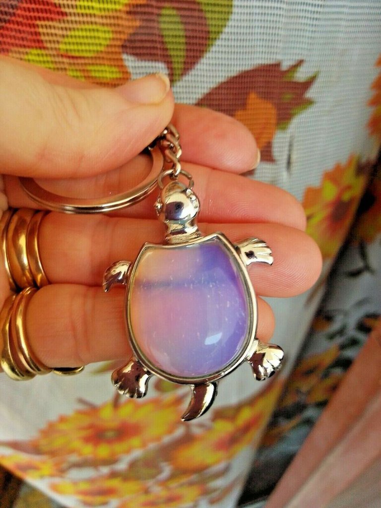 Ciondolo Portachiavi Argento Portachiavi Clip A Forma Di Tartaruga Marina In Metallo Argentato, Con Cerniera Pratica Per Borse E Zaini Endless Treasure - Foto 6