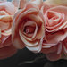 Ghirlanda romantica con rose e nastri