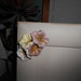 Delicata Cornice Portafotografie con fiori in 3d Pezzo Unico