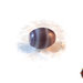150 Perle in Vetro ovale effetto marmo 10 x 8 mm - Viola Lilla Pastello
