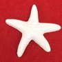Bomboniera gessetto a forma di stella marina ideale per sacchettini o segnaposto
