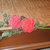 rose rosse