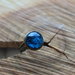 anello regolabile blu