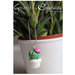 Collana cactus piantina grassa con fiore