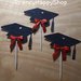 12 cupcake toppers laurea tocco nero glitter e rosso per decorare tavolo torta confettata dolci decorazioni tema laurea medicina ingenieria economia lingue musica giurisprudenza addobbi festa cappello di laurea