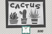 s110 cactus mix