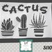 s110 cactus mix