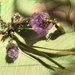 Collana Lilac Flower Vintage